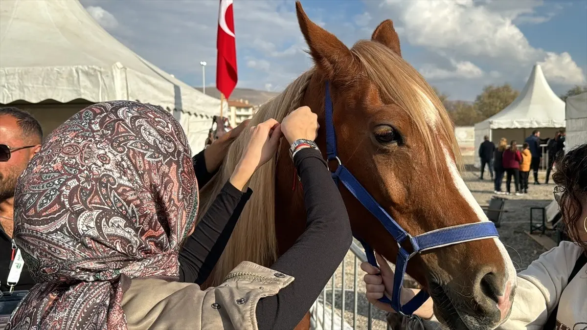 Ürgüp’te En Güzel At Yarışması Yapıldı